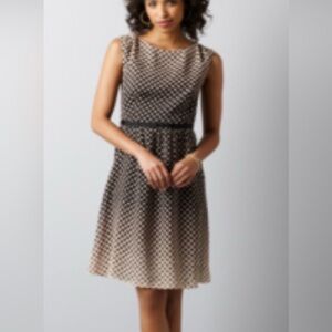 LOFT | Sleeveless Black Cream & Pink Polka Dot Dress with Full Skirt | Size 8